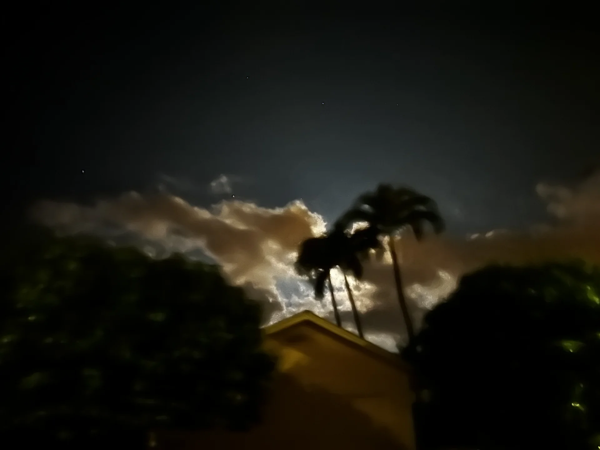 Palm trees silhouetted against illuminated clouds at night in Pines I